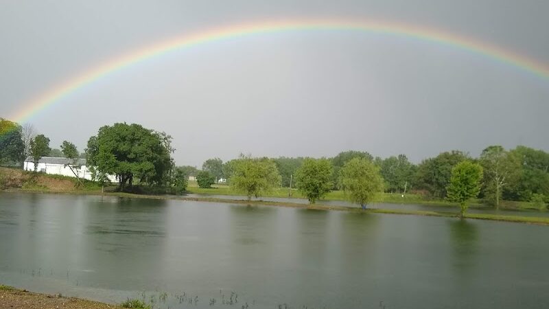 Wiggley Field Dog Park - Springfield, OH