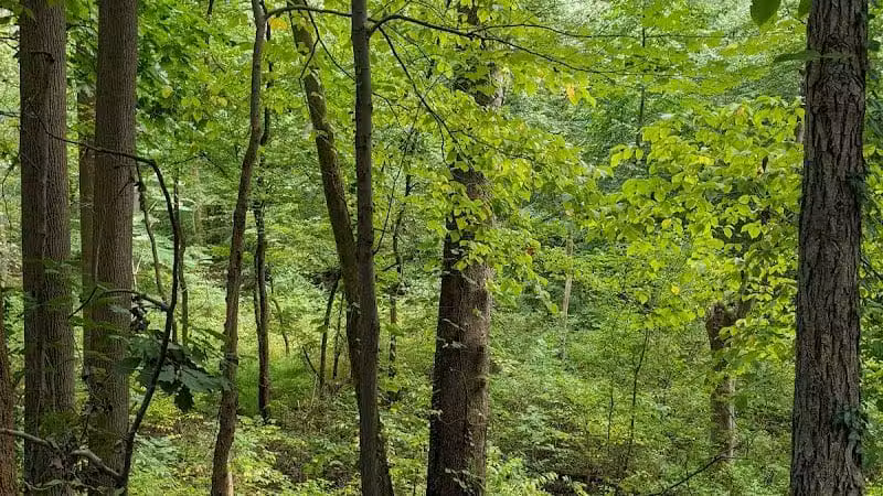 Radnor Trail - St Davids, PA