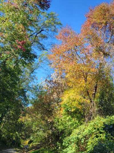 Radnor Trail - St Davids, PA