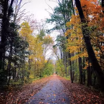 Radnor Trail - St Davids, PA
