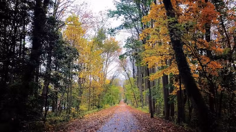 Radnor Trail - St Davids, PA