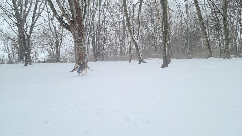 Dog park - St Marys, OH
