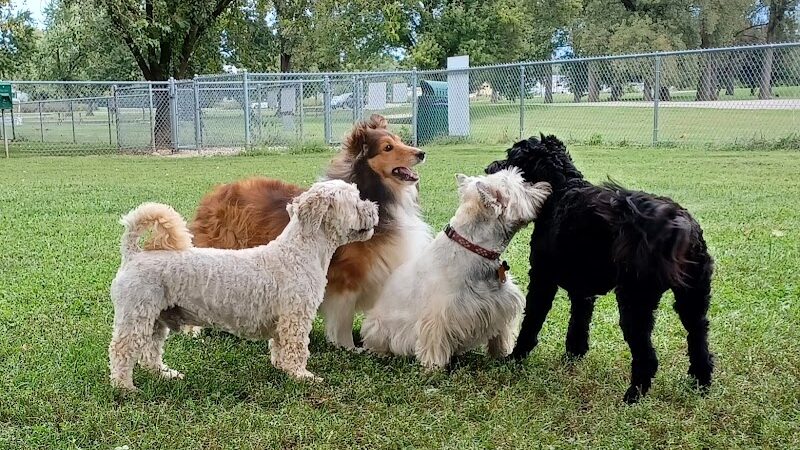 Dog park - St Marys, OH