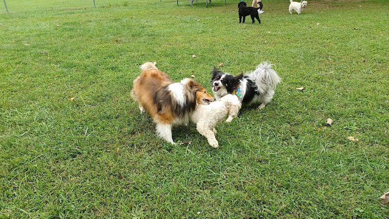 Dog park - St Marys, OH