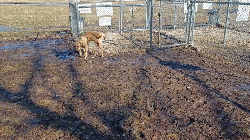 Dog park - St Marys, OH