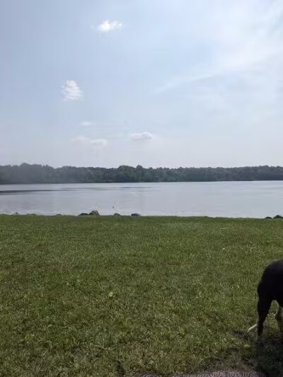 Kiser Lake State Park - St Paris, OH