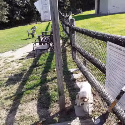 Stamford Dog Park - Stamford, CT