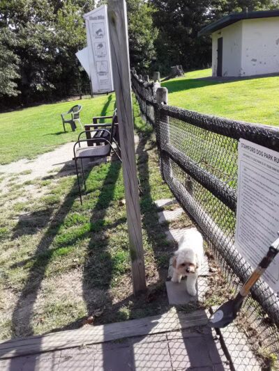 Stamford Dog Park - Stamford, CT