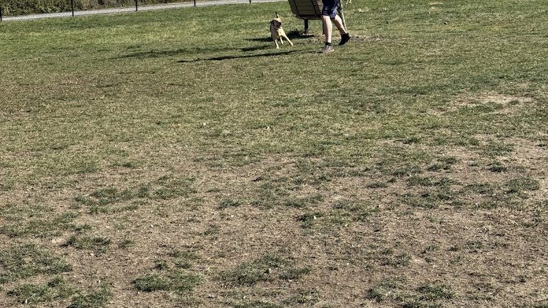 Wintersville Dog Park - Steubenville, OH