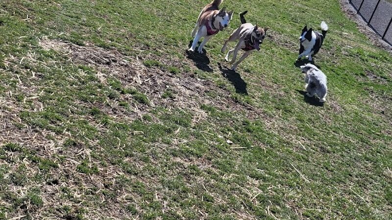 Wintersville Dog Park - Steubenville, OH