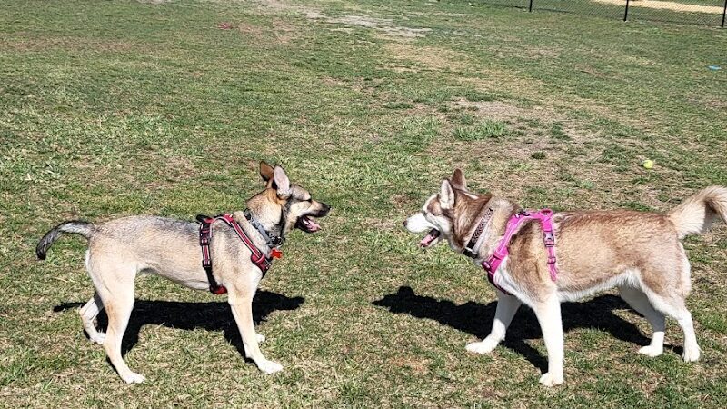Wintersville Dog Park - Steubenville, OH