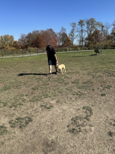 Wintersville Dog Park - Steubenville, OH