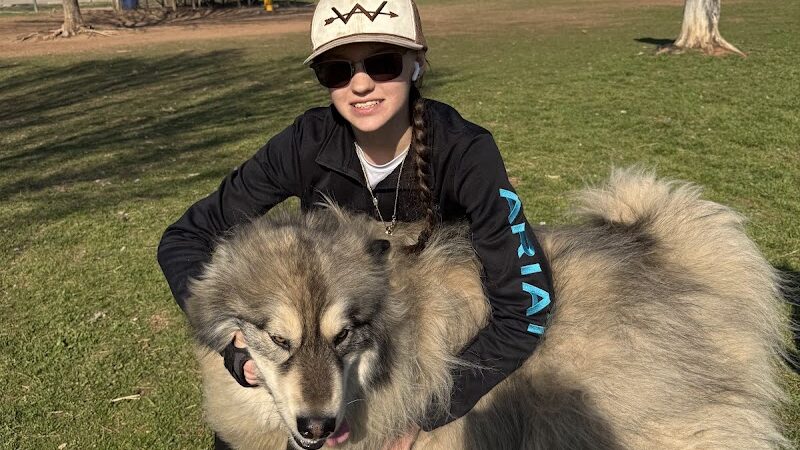 Stillwaggin' Dog Park - Stillwater, OK