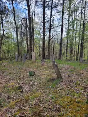 Rock Run Preserve - Stout, OH