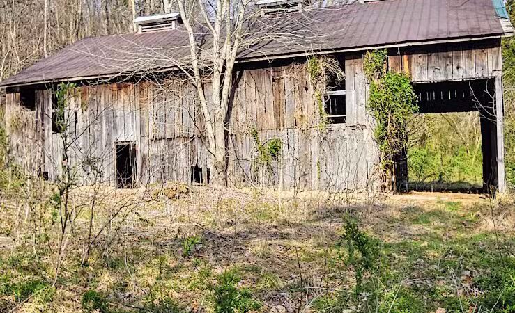 Rock Run Preserve - Stout, OH