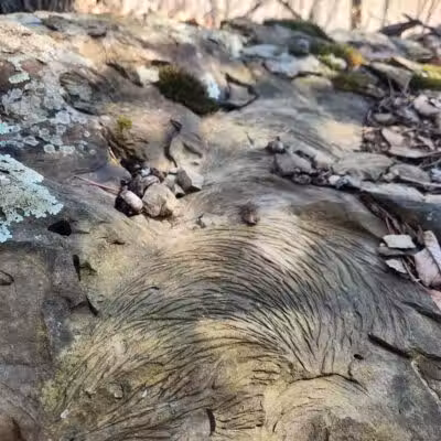Rock Run Preserve - Stout, OH