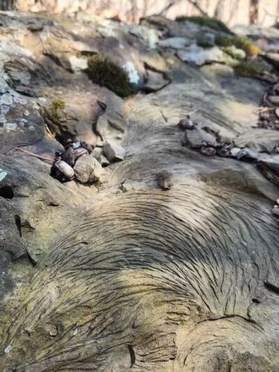 Rock Run Preserve - Stout, OH