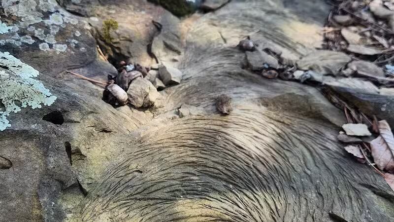 Rock Run Preserve - Stout, OH