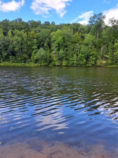 Shawnee State Park Camp Ground and Marina - Stout, OH