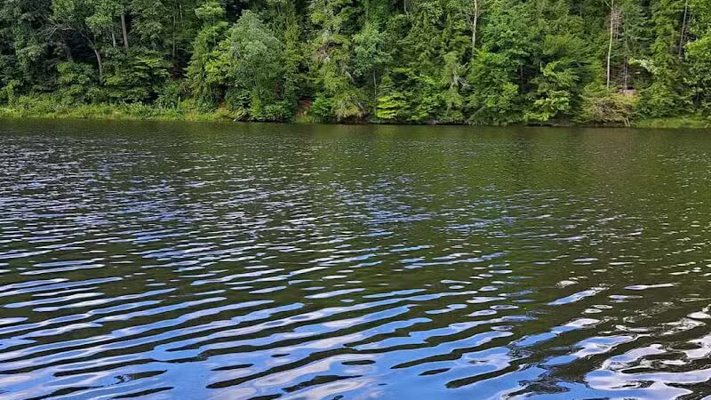 Shawnee State Park Camp Ground and Marina - Stout, OH