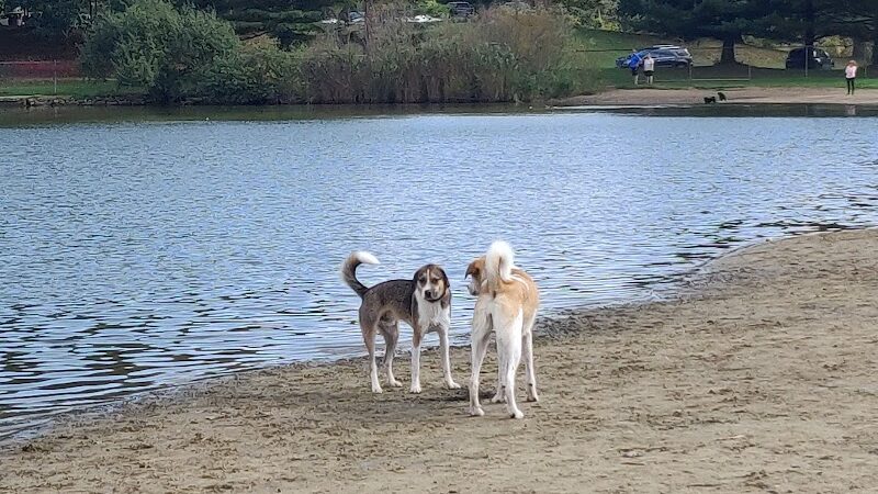 Bow Wow Beach - Stow, OH