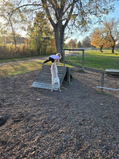 Bow Wow Beach - Stow, OH