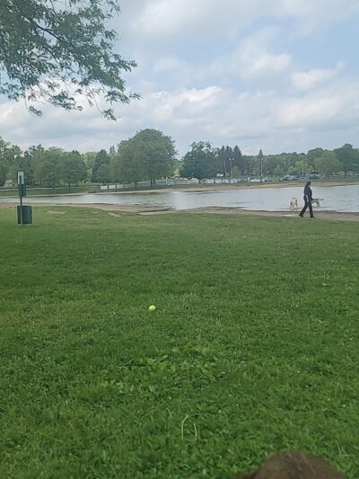 Bow Wow Beach - Stow, OH