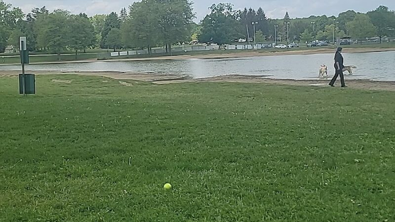 Bow Wow Beach - Stow, OH