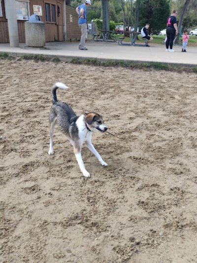 Bow Wow Beach - Stow, OH