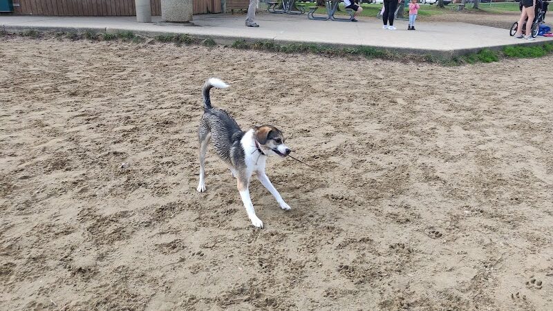 Bow Wow Beach - Stow, OH