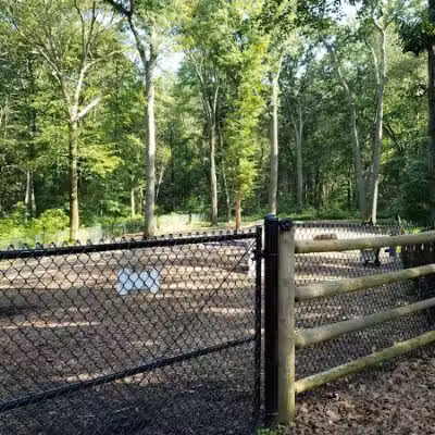 Jared's Dog Park - Stratford, CT