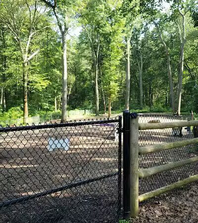 Jared's Dog Park - Stratford, CT