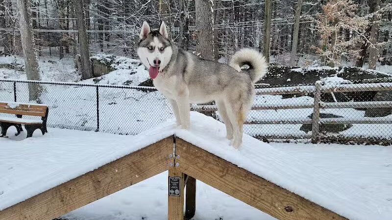 Jared's Dog Park - Stratford, CT