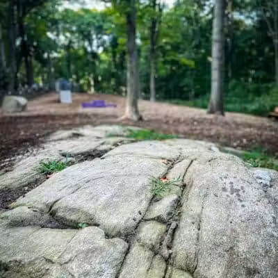 Jared's Dog Park - Stratford, CT