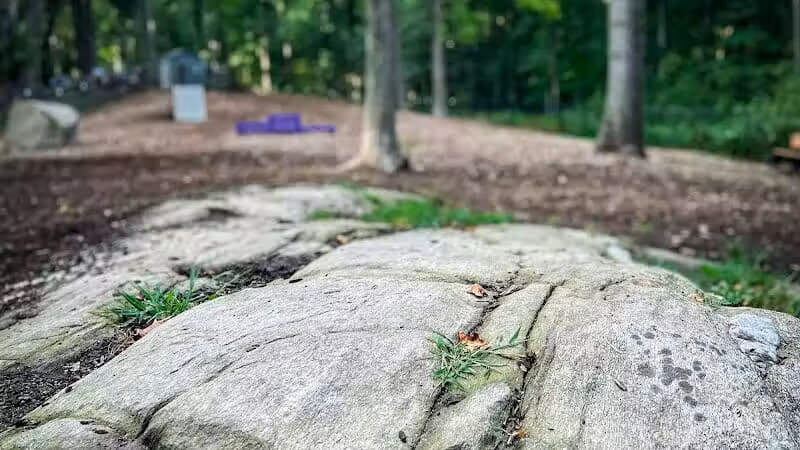 Jared's Dog Park - Stratford, CT
