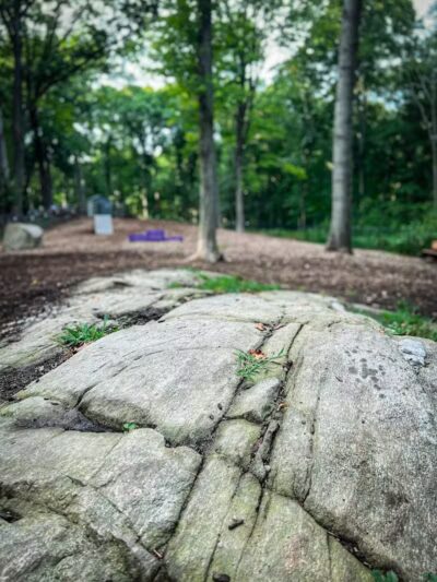 Jared's Dog Park - Stratford, CT