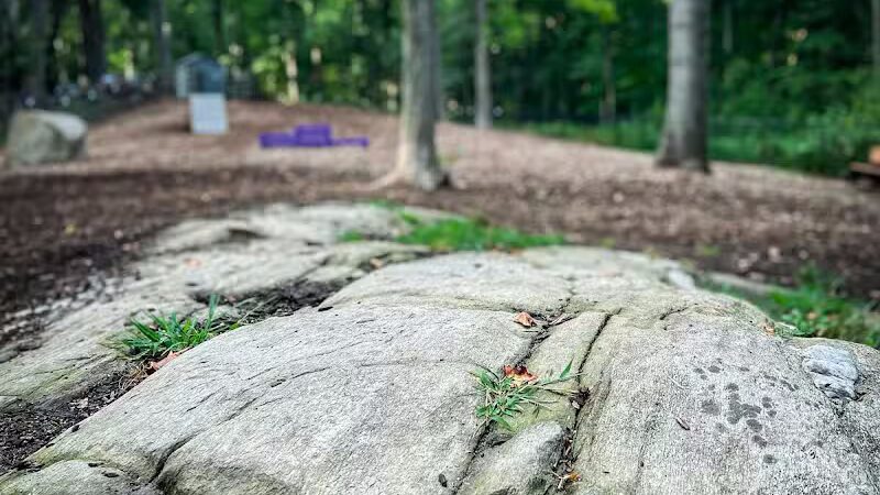 Jared's Dog Park - Stratford, CT