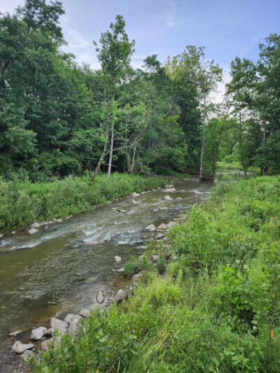 Bonnie Park Picnic Area - Strongsville, OH