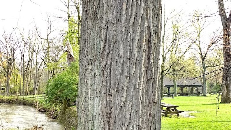 Bonnie Park Picnic Area - Strongsville, OH