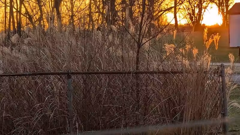 Mauthe Park - Struthers, OH