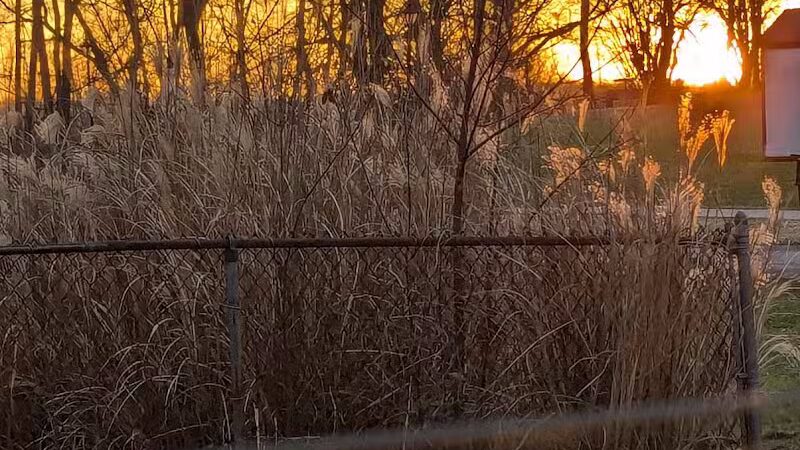 Mauthe Park - Struthers, OH