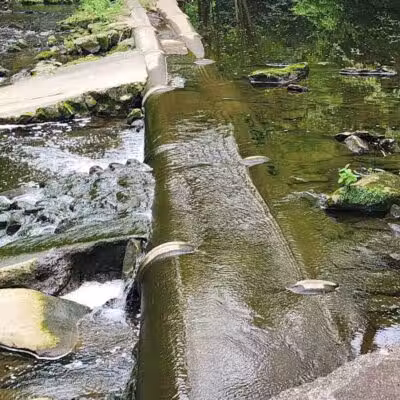 Yellow Creek Park - Struthers, OH