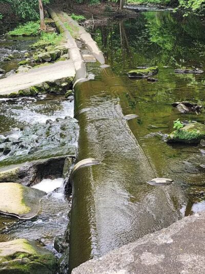 Yellow Creek Park - Struthers, OH