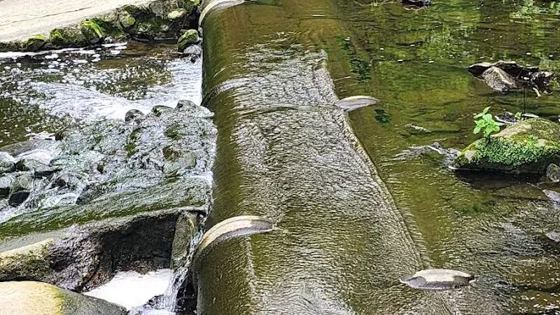 Yellow Creek Park - Struthers, OH