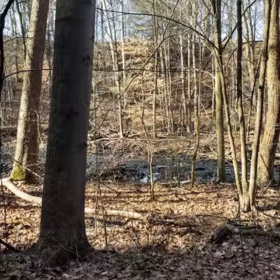 Yellow Creek Park - Struthers, OH