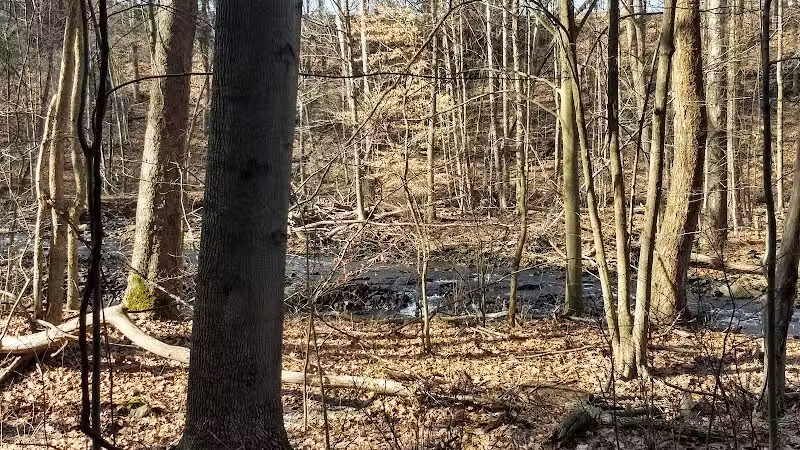 Yellow Creek Park - Struthers, OH