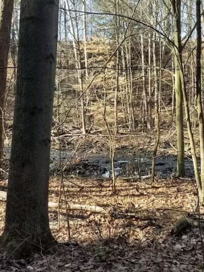 Yellow Creek Park - Struthers, OH