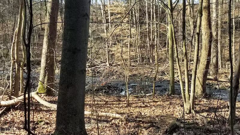 Yellow Creek Park - Struthers, OH