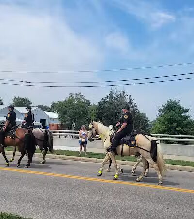 Springfield Township Park & Pavilion - Stryker, OH