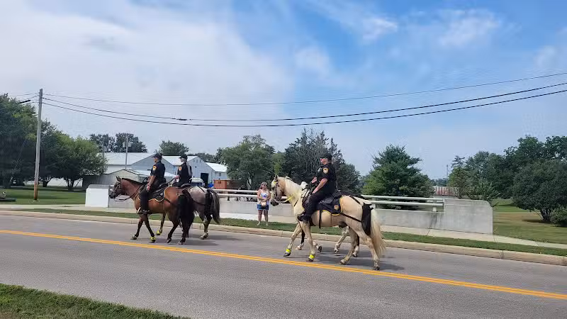 Springfield Township Park & Pavilion - Stryker, OH